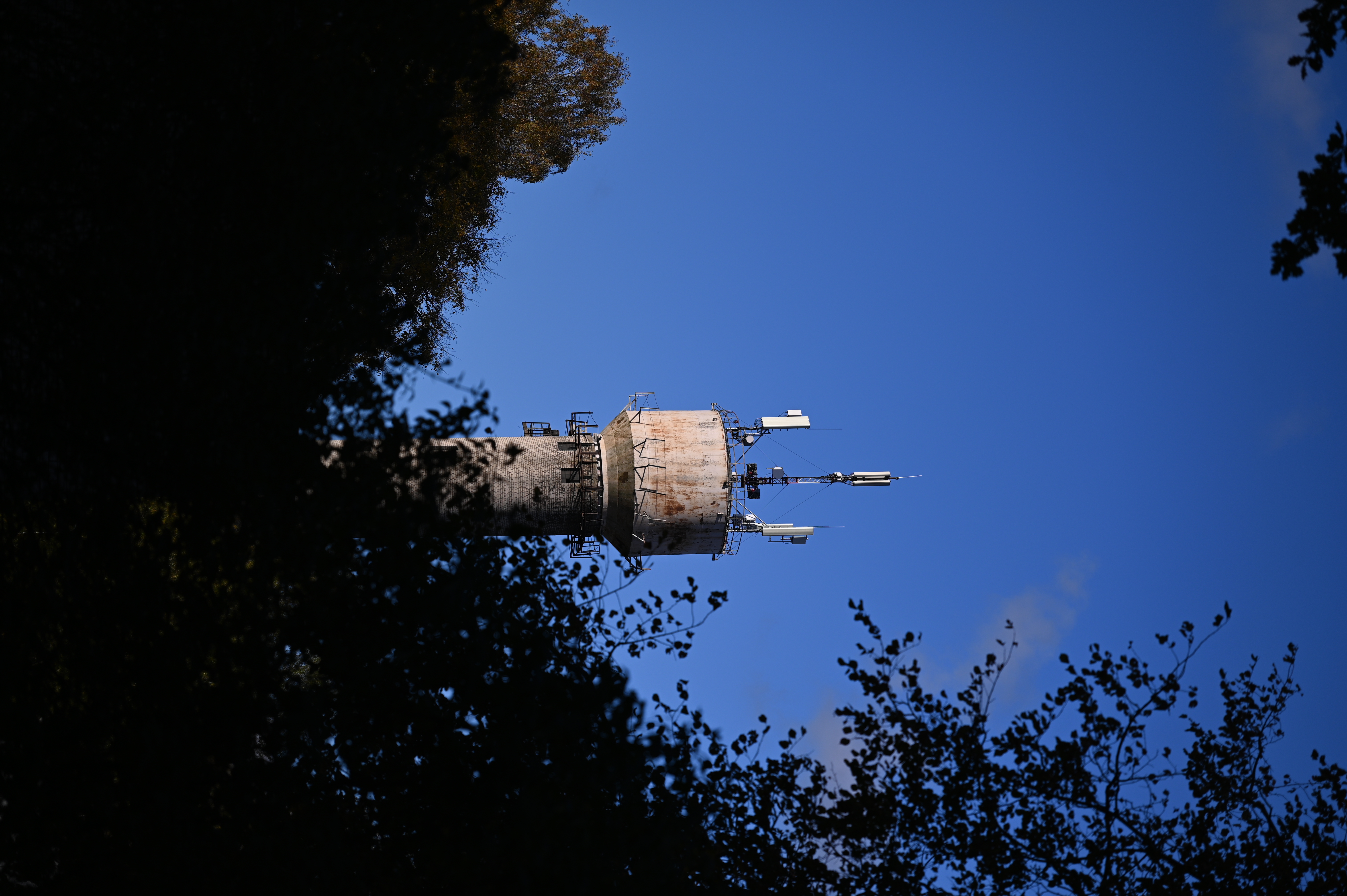 2025/10/18 - walk/DSC_0131.JPG